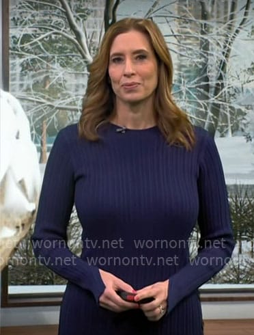 Stephanie Abrams’ navy knit dress on CBS Mornings