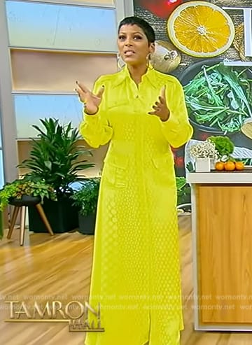 Tamron’s yellow polka dot sheer shirtdress on Tamron Hall Show