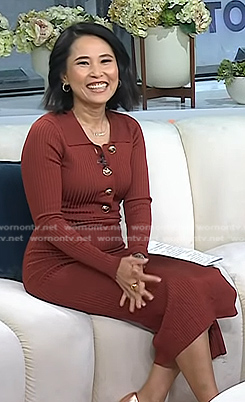Vicky’s brown ribbed polo dress on Today