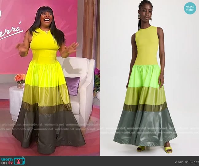 A Potts Wind Dress worn by Sherri Shepherd on Sherri