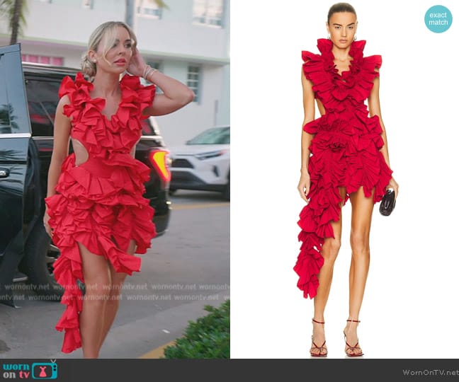 Akvnas Olive Mini Dress worn by Nicole Martin (Nicole Martin) on The Real Housewives of Miami