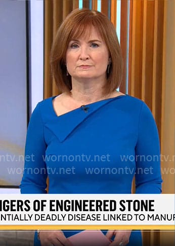 Anna Werner’s blue folded neckline dress on CBS Mornings