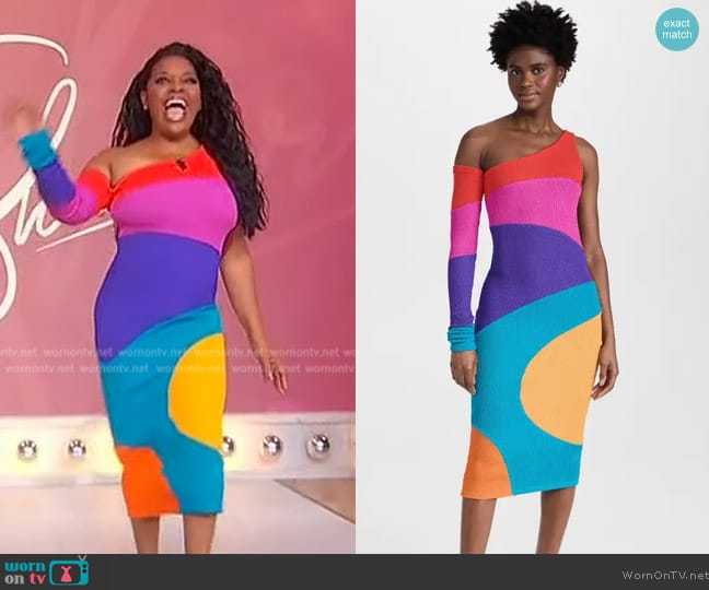 BruceGlen Burst Colorblock One Shoulder Dress worn by Sherri Shepherd on Sherri
