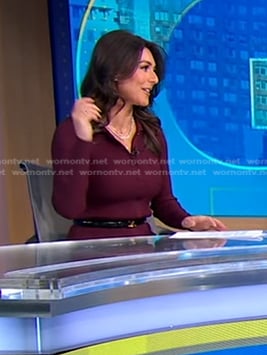 Erielle’s burgundy ribbed button front dress on Good Morning America