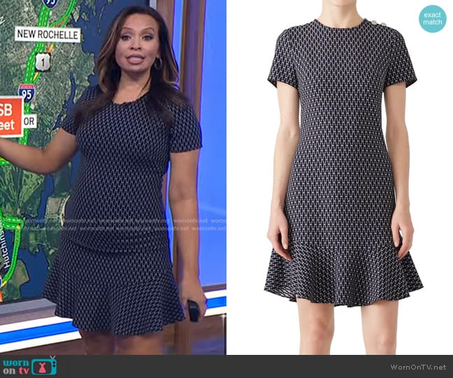 Shoshanna Genesee Dress worn by Adelle Caballero on Today