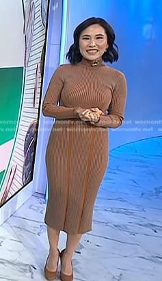Vicky’s brown ribbed mock neck dress on Today