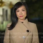 Weijia Jiang’s asymmetric button coat on CBS Mornings
