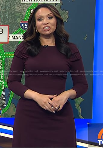 Adelle’s purple pleated shoulder dress on Today