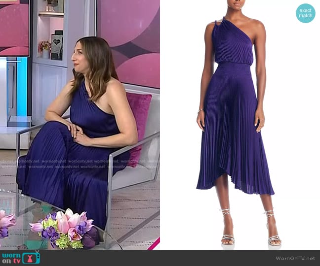 A.L.C. Ruby Pleated Dress worn by Chelsea Peretti on Today