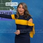 Ginger’s navy and yellow cutout sheath dress on Good Morning America