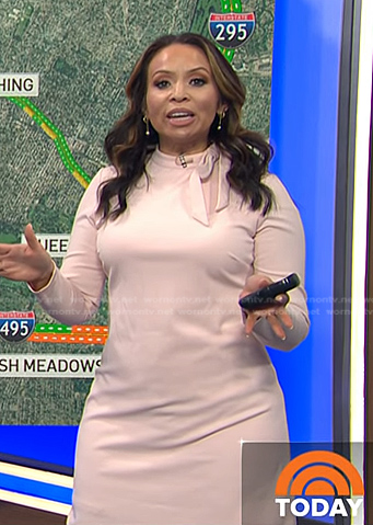 Adelle’s blush pink tie neck dress on Today