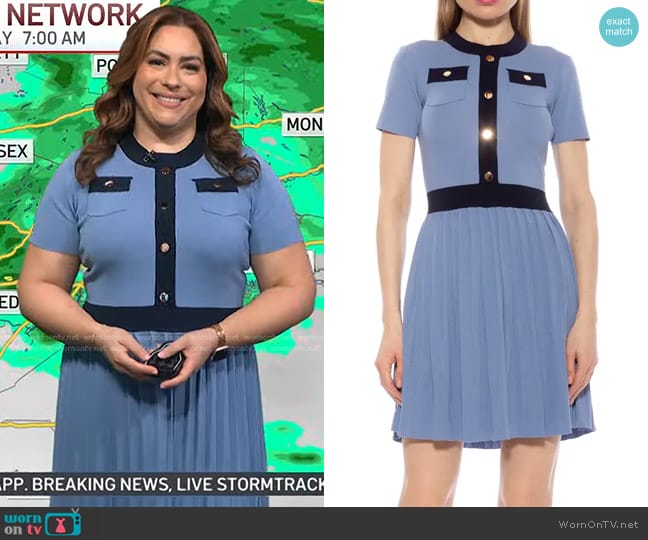 Alexia Admor Anders Short Sleeve Pleated Fit & Flare Dress worn by Violeta Yas on Today