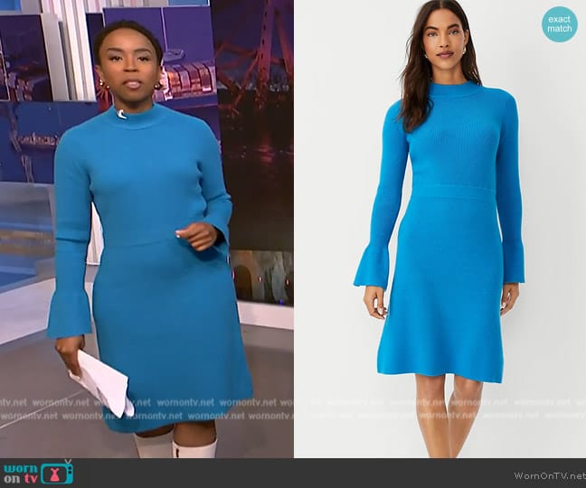 Ann Taylor Ribbed Button Cuff Sweater Dress worn by Zinhle Essamuah on NBC News Daily