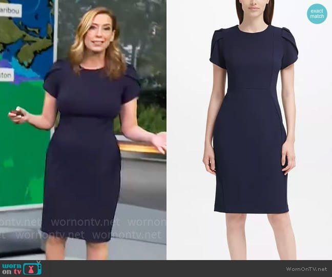 Calvin Klein Tulip-Sleeve Sheath Dress in Indigo worn by Stephanie Abrams on CBS Mornings