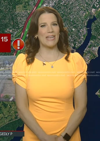 Heather’s yellow ruched short sleeve dress on Good Morning America