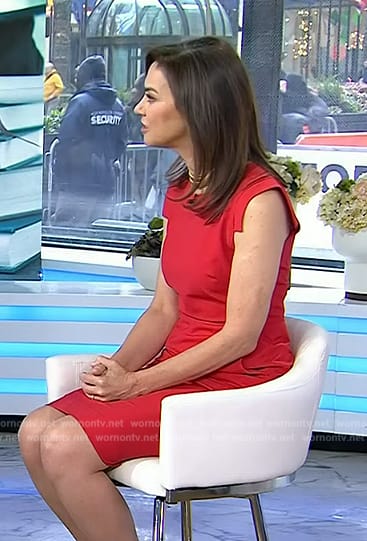 Jennifer Breheny Wallace’s red cap sleeve sheath dress on Today