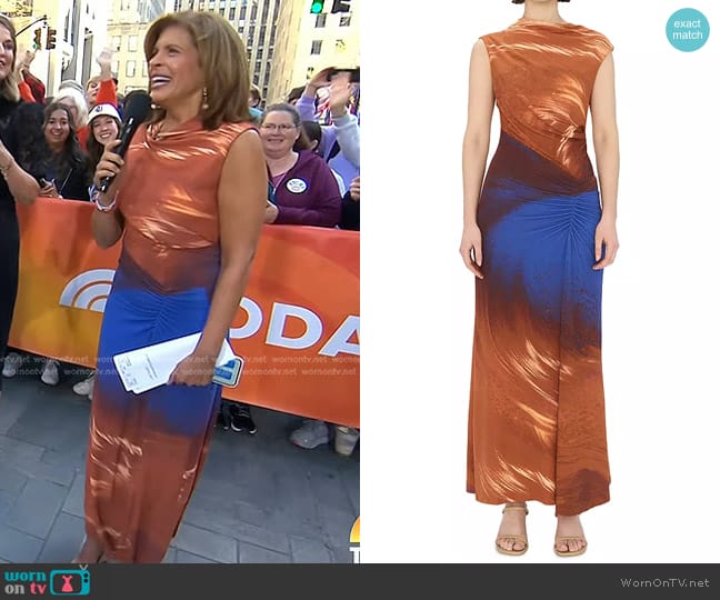 Simkhai Acacia Midi Dress in Sierra Print worn by Hoda Kotb on Today