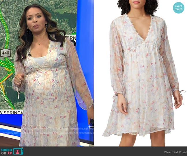 Slate & Willow Long Sleeve Peasant Dress worn by Adelle Caballero on Today
