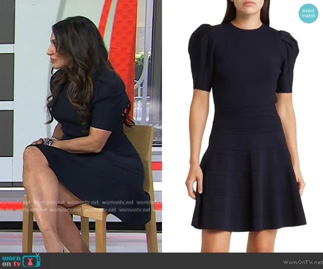Ted Baker Velvey Puff Sleeve Dress worn by Dr. Taz Bhatia on Today