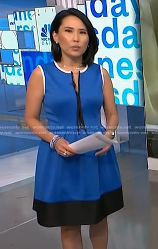 Vicky’s blue colorblock zip front dress on NBC News Daily