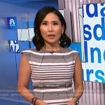 Vicky’s grey striped sheath dress on NBC News Daily