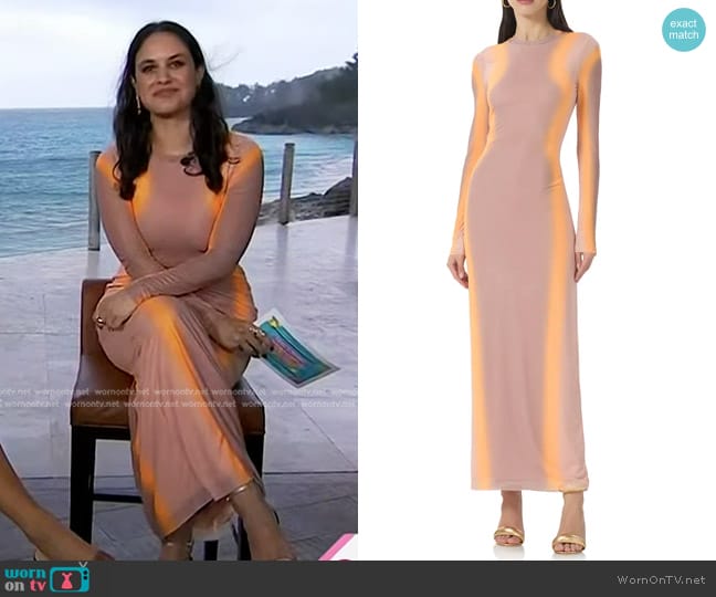 AFRM Didi Long Sleeve Mesh Maxi Dress in Orange Linear worn by Donna Farizan on Today