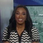 Brittany’s wavy stripe polo dress on Good Morning America