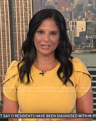 Darlene’s yellow puff sleeve sheath dress on Today