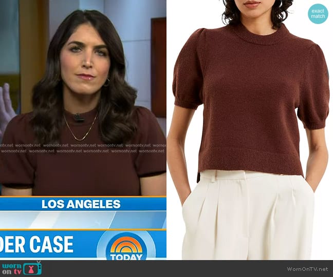 French Connection Vhari Short Sleeve Sweater in Bitter Chocolate worn by Liz Kreutz on Today