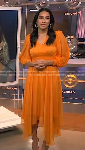 Morgan’s orange pleated chiffon dress on NBC News Daily