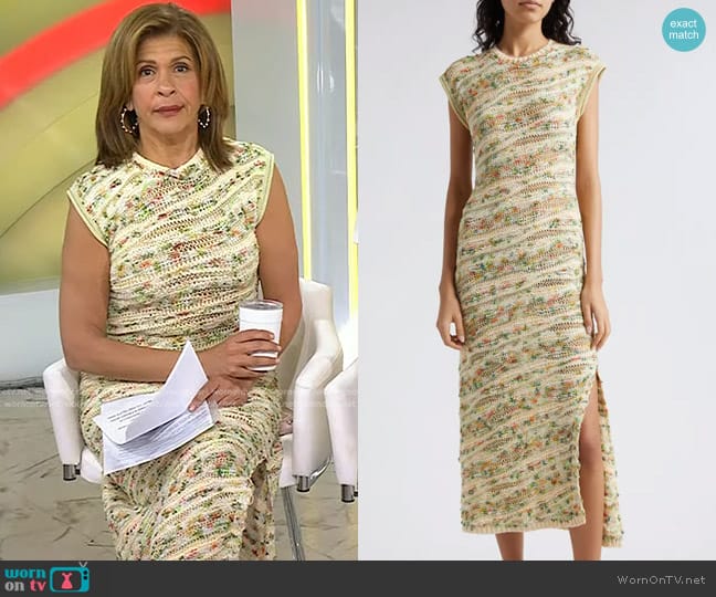 Ulla Johnson Dune Cap Sleeve Sweater Dress in Confetti worn by Hoda Kotb on Today