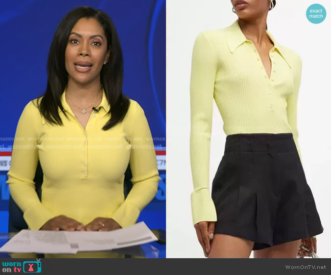 A.L.C. Eleanor Rib-Knit Sweater worn by Shirleen Allicot on Good Morning America