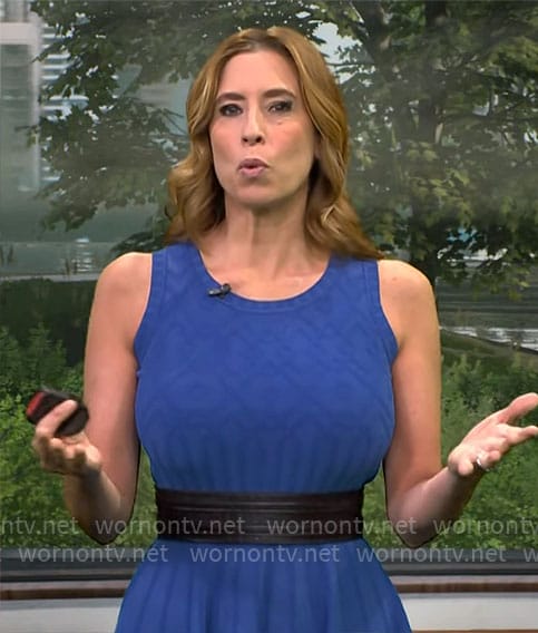 Stephanie Abrams’ blue sleeveless fit and flare dress on CBS Mornings