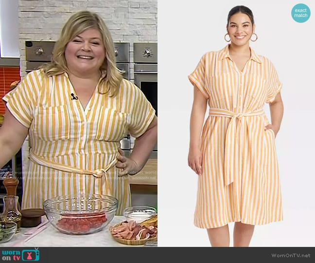 Ava & Viv Short Sleeve Tie-Front Midi Shirtdress worn by Danielle Kartes on Today