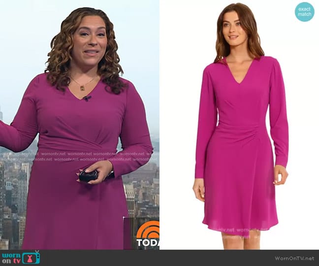 Maggy London Iridessa Dress in Pink worn by Violeta Yas on Today