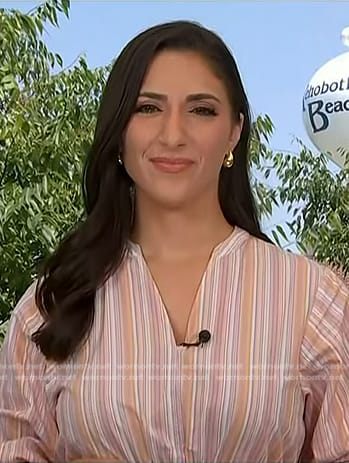 Allie Raffa’s pink striped dress on NBC News Daily