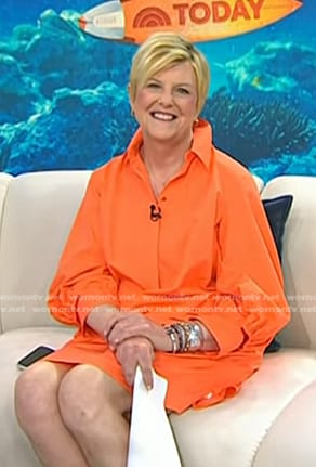 Anne’s orange shirtdress on Today