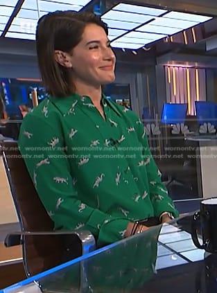 Daryn Carp’s green cheetah print shirt on NBC News Daily