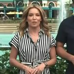 Kit’s striped dress on Access Hollywood