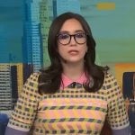 Savannah’s check polo sweater on NBC News Daily