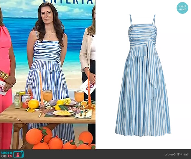 Toccin Cameron Striped Cotton Poplin Midi-Dress in Cornflower Stripe worn by Lindsey Peers on Today