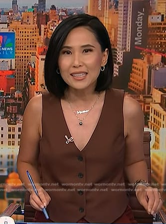 Vicky’s brown vest on NBC News Daily