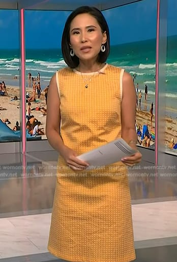 Vicky’s yellow sleeveless dress on NBC News Daily