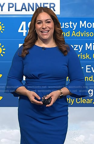 Violeta Yas’s blue bell sleeve dress on Today