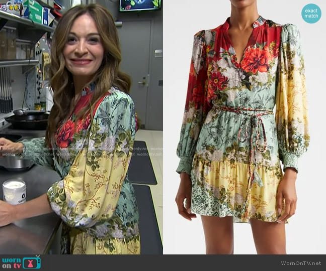 Alice + Olivia Antonette Dress in Oakley worn by Anna Francese Gass on Today