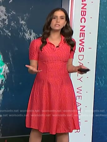 Angie Lassman’s pink polka dot dress on NBC News Daily
