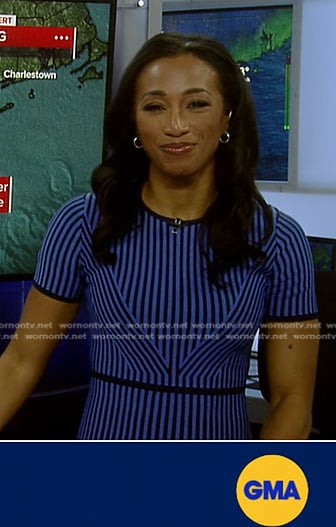 Brittany’s blue striped dress on Good Morning America