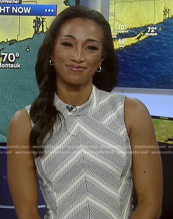 Brittany’s grey chevron striped dress on Good Morning America