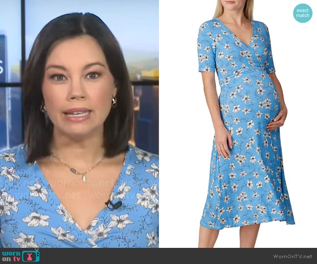 NOM Maternity Maya Maternity Dress worn by Jo Ling Kent on CBS Mornings