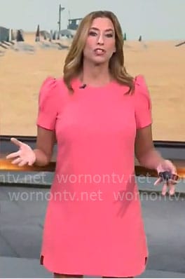 Stephanie Abrams’s pink short sleeved shift dress on CBS Mornings